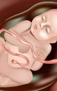 به تع داد نامحدودرحم جایگزین وتخمک اهدای هستیم
