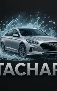 استخدام نیروی کارواش