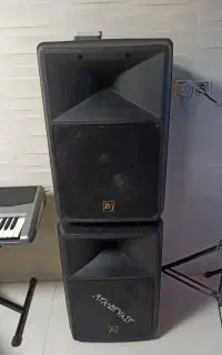 باند اکتیو ۱۵ اینچ DJ اصل usa rcf دایناکورد
