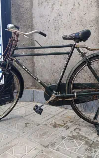 دوچرخه سه مار مدل فونیکس