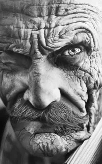 آموزش طراحی و نقاشی