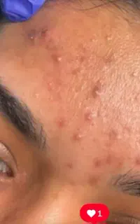 آموزش کاملا رایگان فیشال