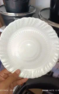 انواع آرکوپال کف گل و طلاکوب دینو