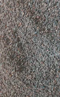 کشمش درجه یک