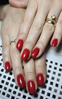 اجاره لاینهای زیبایی