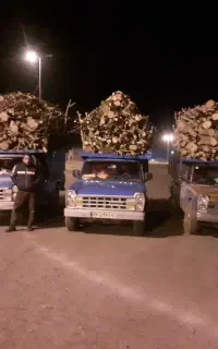 خریدانواع چوب خریداریم نقد