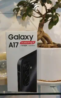 a17