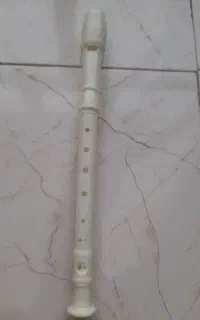 فلوت