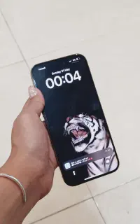 گوشی ایفون ۱۶ پرو مکس