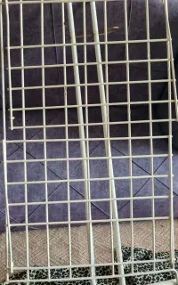 بند رخت لباس
