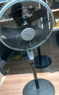 پنکه