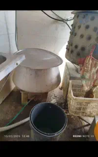 پرکن مرغ