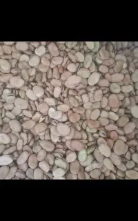 باقالی