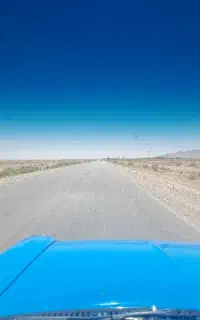 یک عدد پشتی پیدا شده