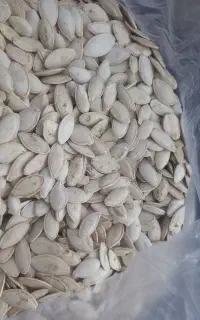 تخمه کدو اجیلی