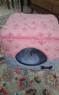لونه چند حالته سگ
