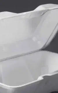 ظروف یکبار مصرف