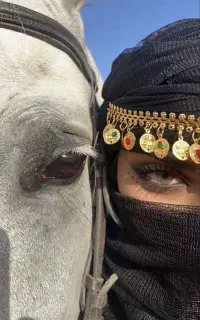 پانسیون و نگهداری اسب.