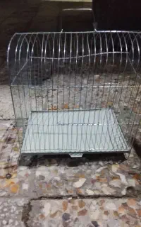 قفس پرنده