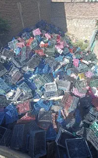 سبد میوه ضایعاتی
