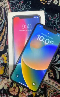 iPhone X/256