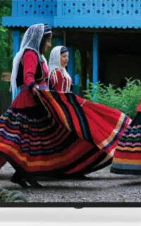 تلویزیون و جاروبرقی اسنوا