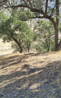 کهره برایی فروش