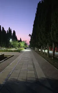 فراخوان یوگا رایگان . هر کس مایله در خدمتم