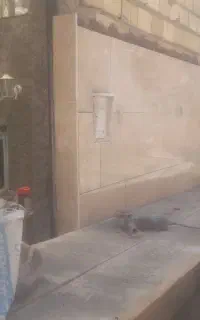 کاشی کاری بنایی سیمانکاری