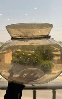 گلدون شیشه ای