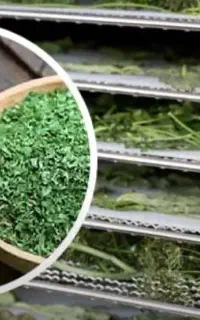 دستگاه خشک کن سبزی وآبغوره گیری