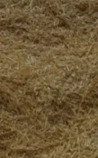 فروش کاه جو