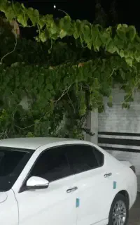 دنا پلاس ۵دنده مدل ۱۴۰۲