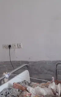 نیازمند کارگر خانم
