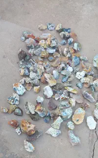 سنگ عقیق شجر بهاره