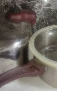 زودپز یونیک اصل