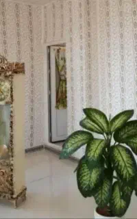 نقاشی طرح کاغذ دیواری