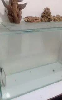 آبنوس اکواریوم