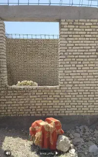 ذار