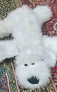 عروسک سگ
