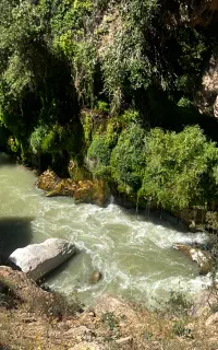 تور یک روزه ابشار اب ملخ