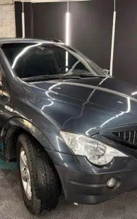 سانگ یانگ اکتیون ۲۰۱۳