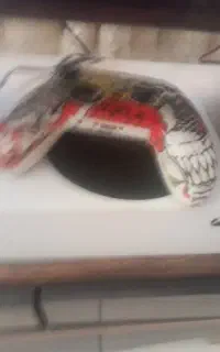 ایکس باکس