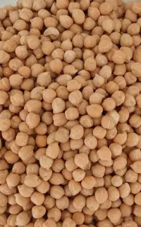 نخود آشی درشت