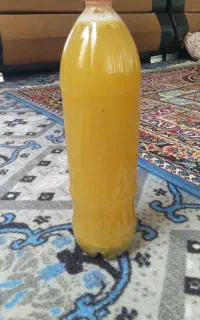 آب غوره بش درجه یک امسال