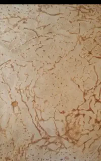 نانوایی گل ریحون