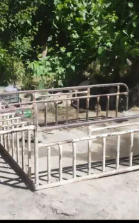 باربن پیکان وانت