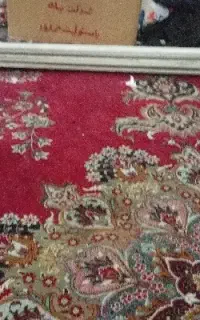 رگال مانتو