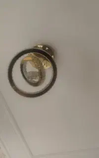 دوجفت لوستر