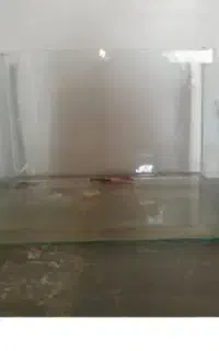 آکواریووم